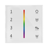 G.W.S. LED 4 Zones RGBW Remote Control (100-240VAC Input) T14-1