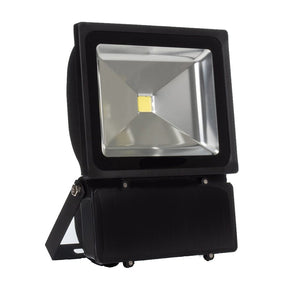 G.W.S LED Wholesale Classic LED Floodlight 100W / Warm White (3500K) / Black Classic LED Flood Light