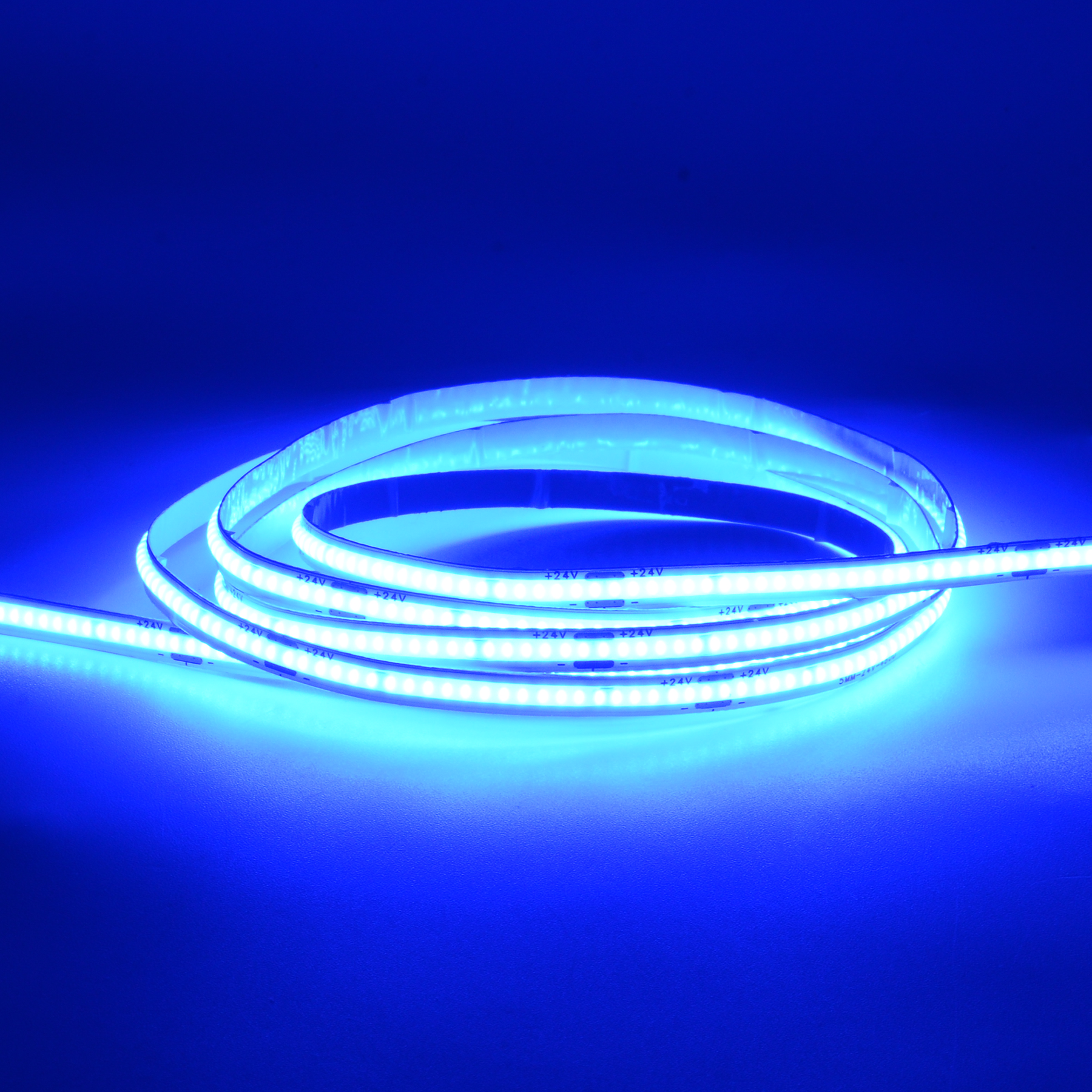 G.W.S LED Wholesale LED Strip Lights 5M / Blue LED COB Strip Light 24V 5mm (POS)