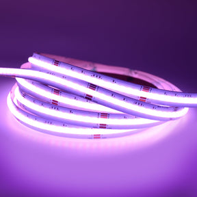 G.W.S LED Wholesale LED Strip Lights 5M / RGBW LED COB Strip Light, Seamless, 5M Reel, IP20, 24V, 12mm Wide, RGB+White