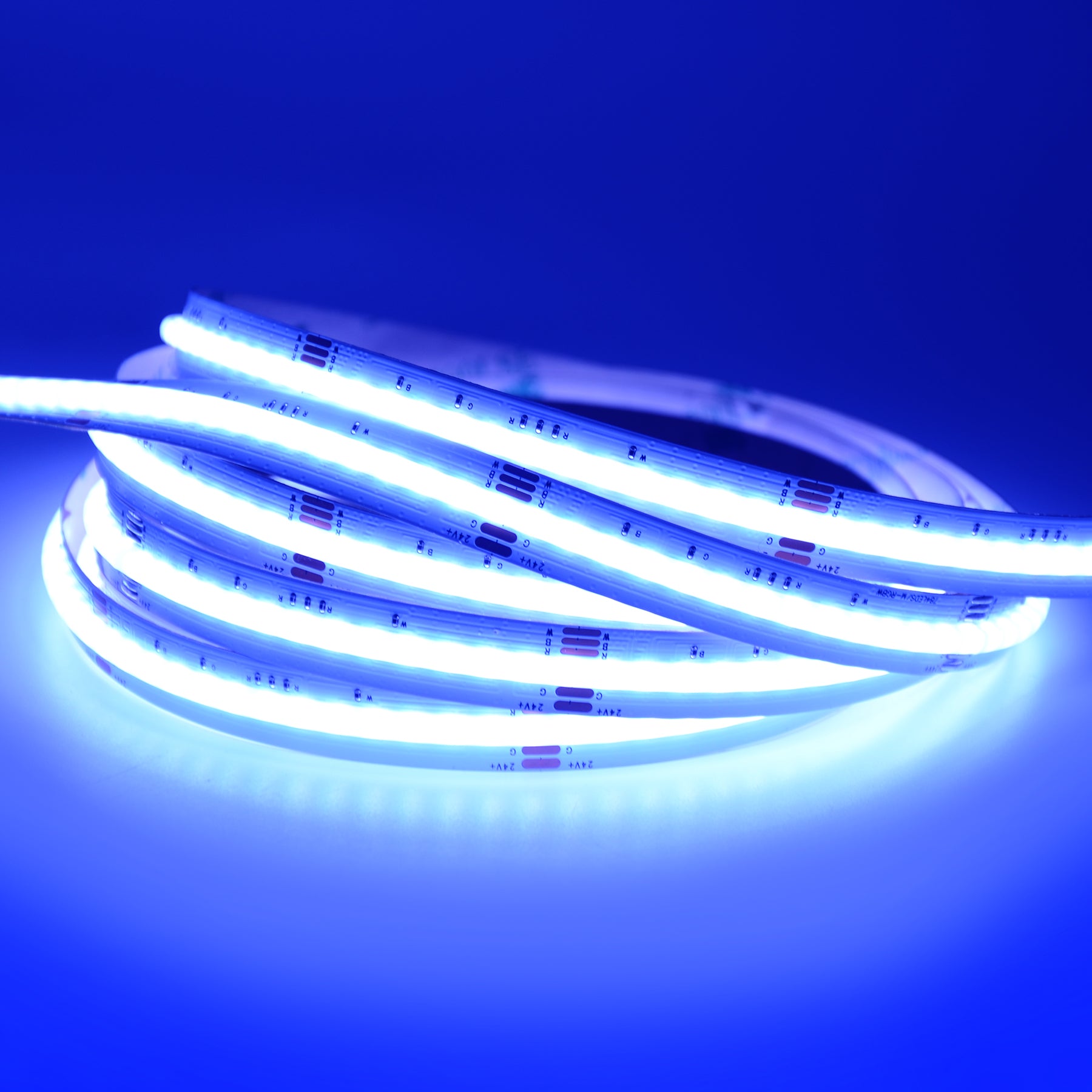 G.W.S LED Wholesale LED Strip Lights 5M / RGBW LED COB Strip Light, Seamless, 5M Reel, IP20, 24V, 12mm Wide, RGB+White