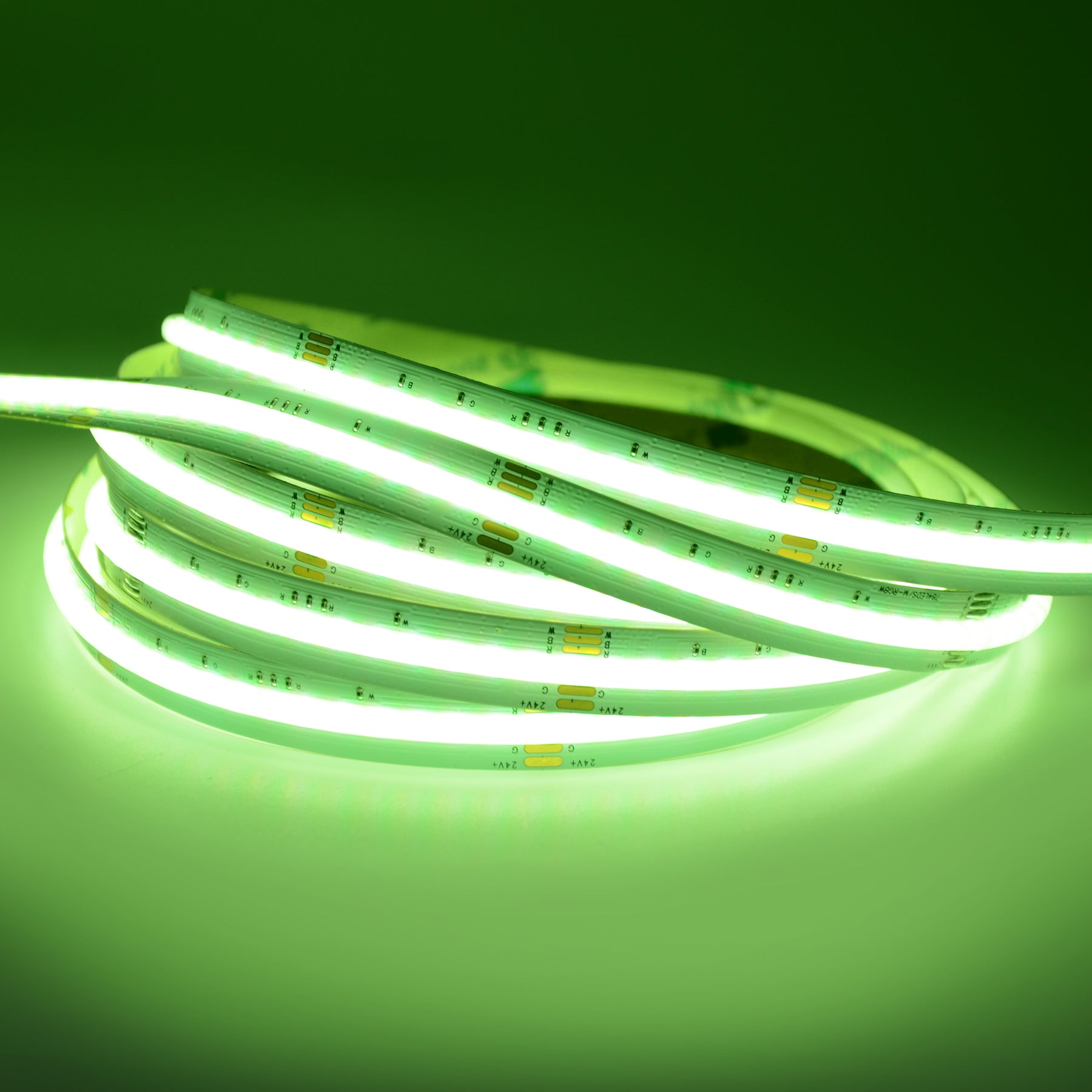 G.W.S LED Wholesale LED Strip Lights 5M / RGBW LED COB Strip Light, Seamless, 5M Reel, IP20, 24V, 12mm Wide, RGB+White