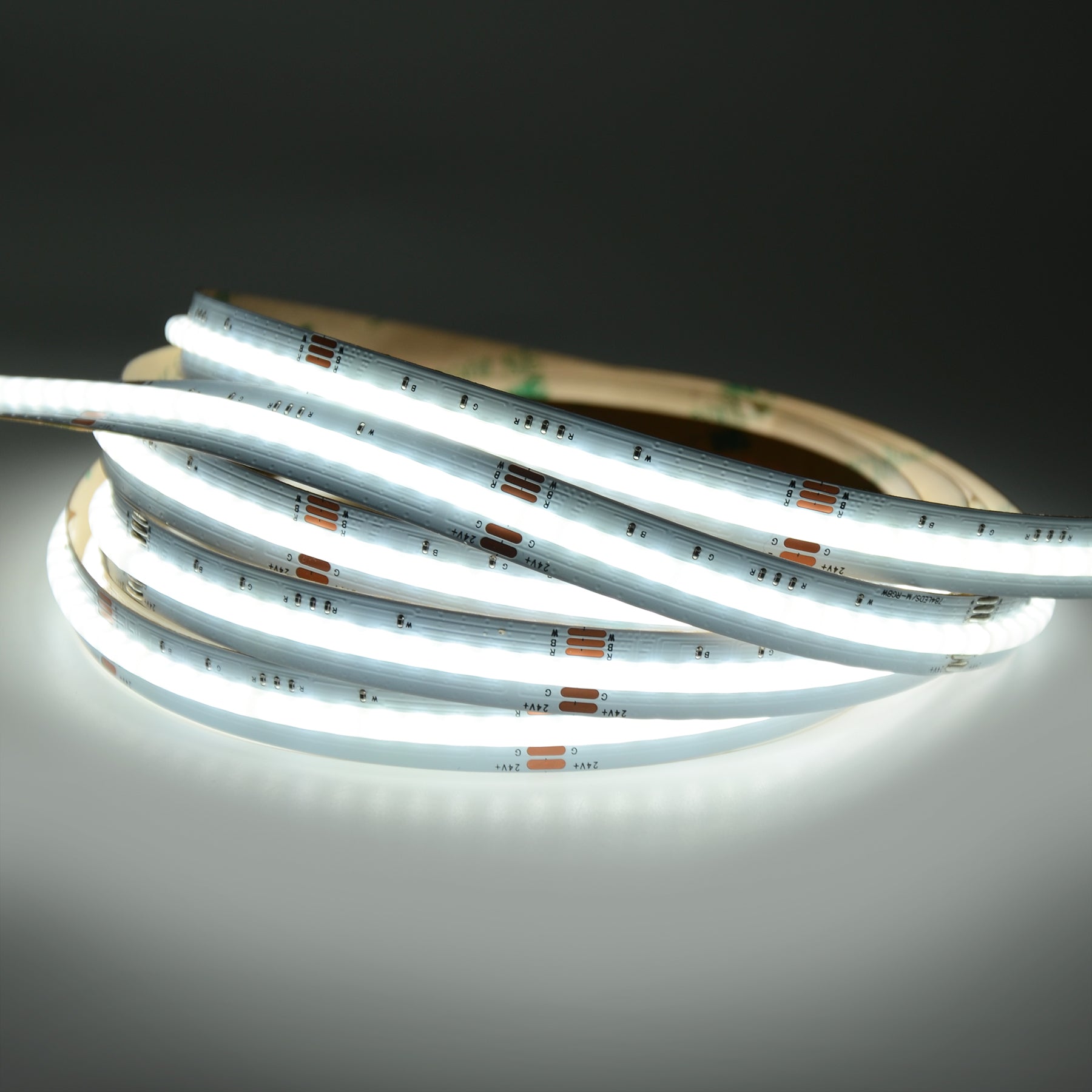 G.W.S LED Wholesale LED Strip Lights 5M / RGBW LED COB Strip Light, Seamless, 5M Reel, IP20, 24V, 12mm Wide, RGB+White